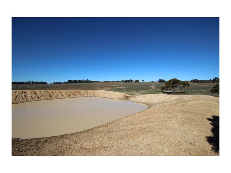 Lot 13 Kulin-Dudinin, Dudinin WA 6363