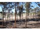 Lot 13 Kulin-Dudinin, Dudinin WA 6363