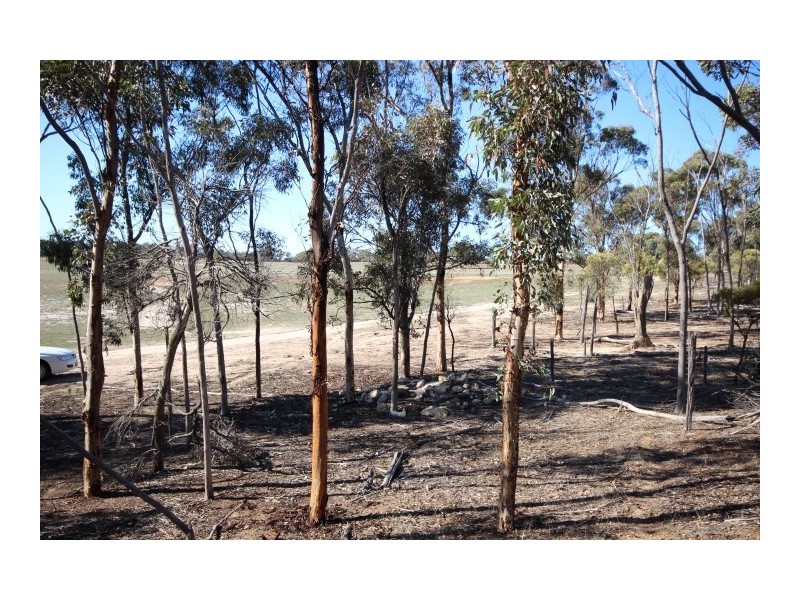 Lot 13 Kulin-Dudinin, Dudinin WA 6363