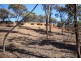 Lot 13 Kulin-Dudinin, Dudinin WA 6363