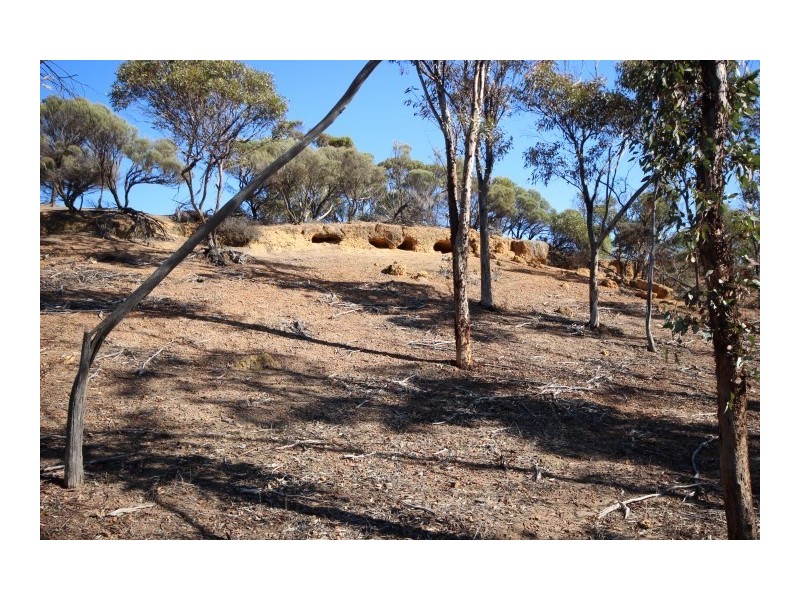 Lot 13 Kulin-Dudinin, Dudinin WA 6363