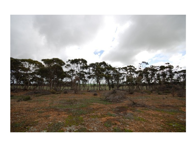 Lot 13 Kulin-Dudinin, Dudinin WA 6363
