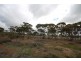 Lot 13 Kulin-Dudinin, Dudinin WA 6363