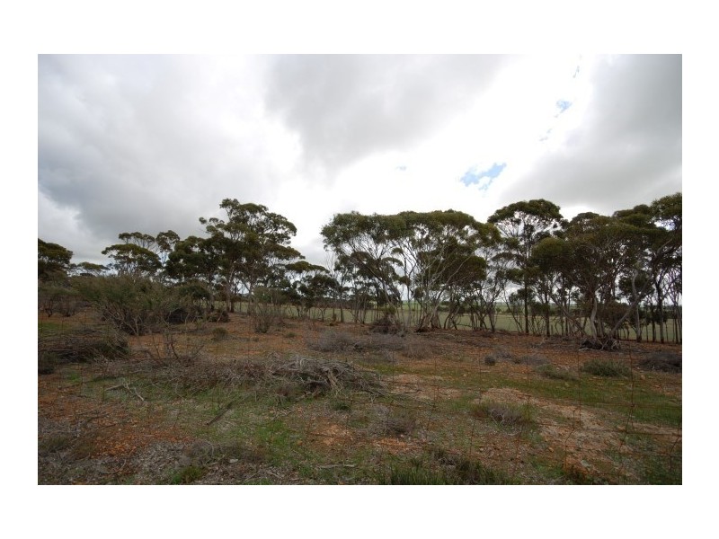 Lot 13 Kulin-Dudinin, Dudinin WA 6363