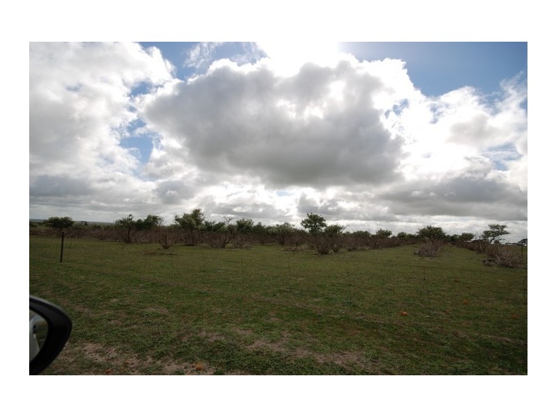 Lot 13 Kulin-Dudinin, Dudinin WA 6363