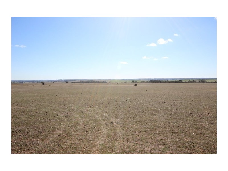 Lot 13 Kulin-Dudinin, Dudinin WA 6363