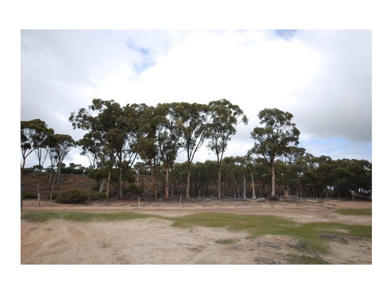 Lot 13 Kulin-Dudinin, Dudinin WA 6363