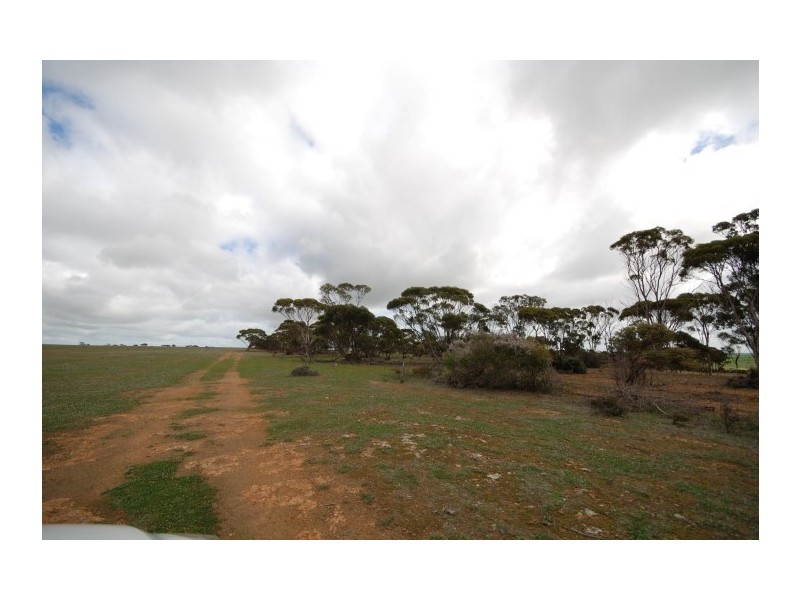 Lot 13 Kulin-Dudinin, Dudinin WA 6363