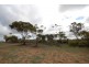 Lot 13 Kulin-Dudinin, Dudinin WA 6363