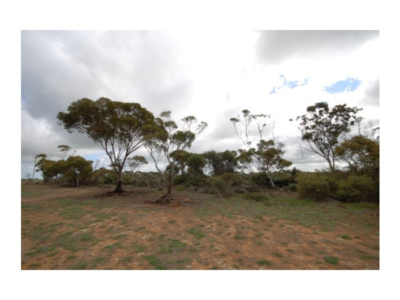 Lot 13 Kulin-Dudinin, Dudinin WA 6363