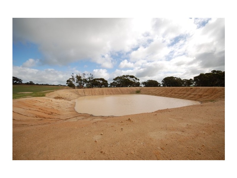 Lot 13 Kulin-Dudinin, Dudinin WA 6363