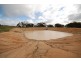 Lot 13 Kulin-Dudinin, Dudinin WA 6363