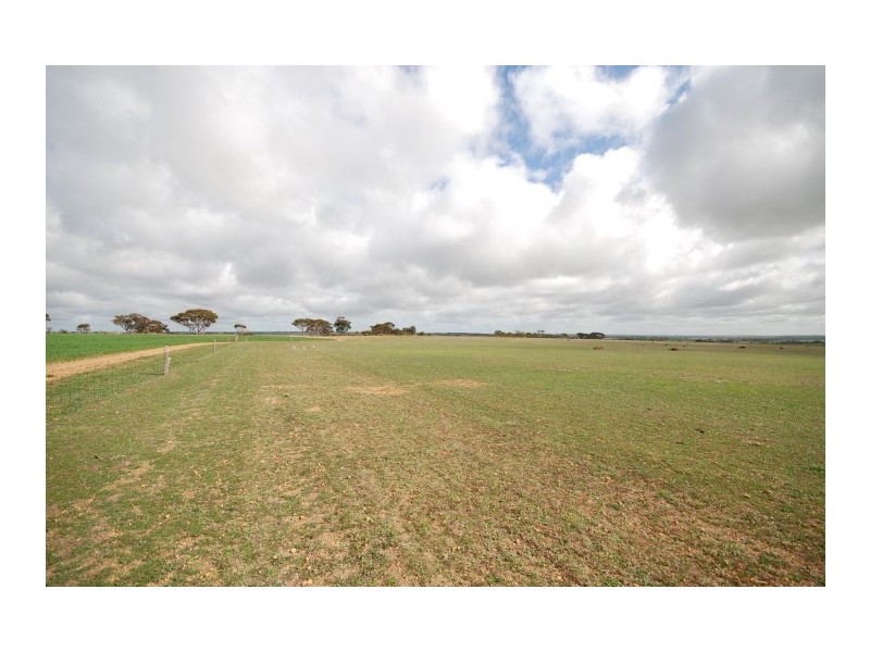 Lot 13 Kulin-Dudinin, Dudinin WA 6363
