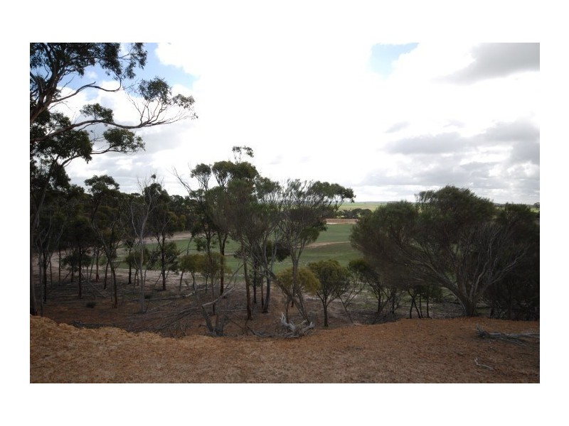 Lot 13 Kulin-Dudinin, Dudinin WA 6363