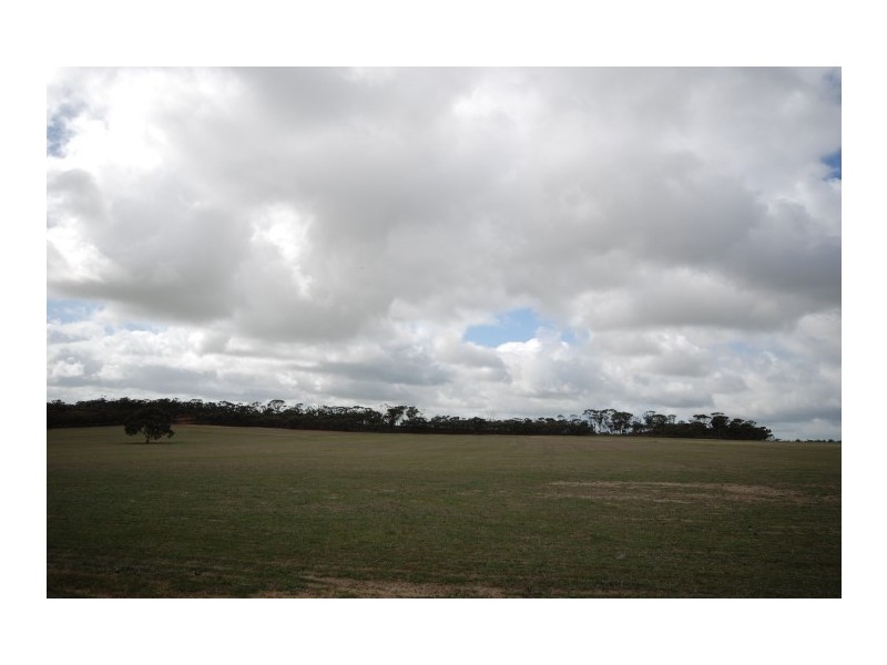 Lot 13 Kulin-Dudinin, Dudinin WA 6363