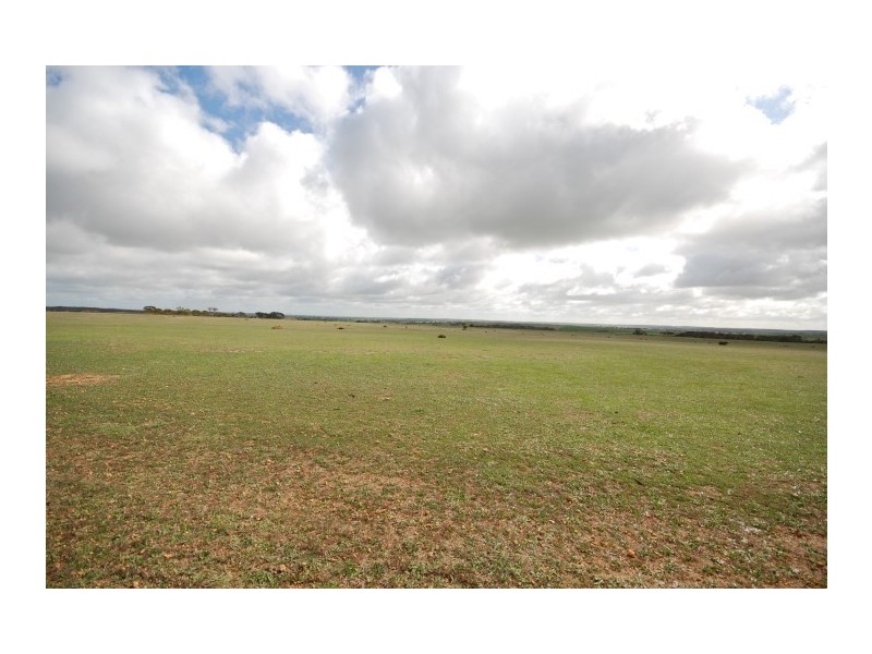 Lot 13 Kulin-Dudinin, Dudinin WA 6363