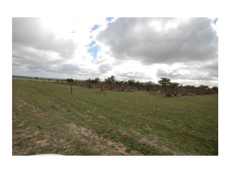 Lot 13 Kulin-Dudinin, Dudinin WA 6363