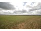 Lot 13 Kulin-Dudinin, Dudinin WA 6363