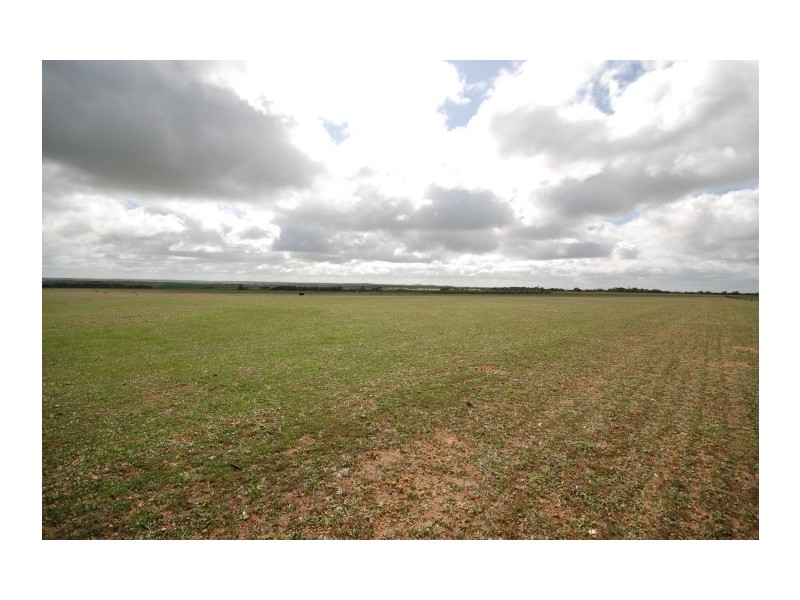 Lot 13 Kulin-Dudinin, Dudinin WA 6363