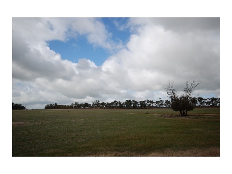 Lot 13 Kulin-Dudinin, Dudinin WA 6363