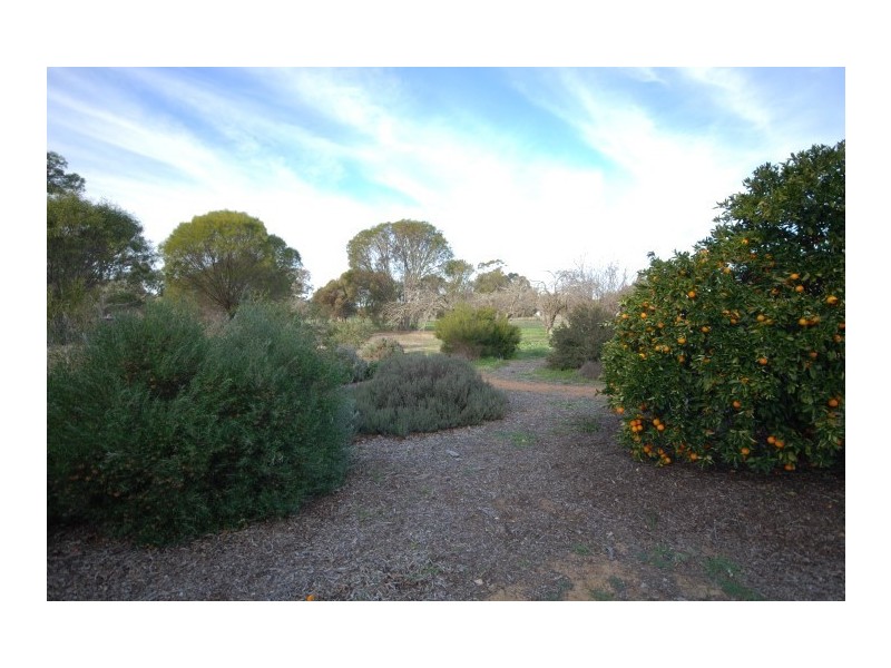 25 Hotham Street, Popanyinning WA 6309