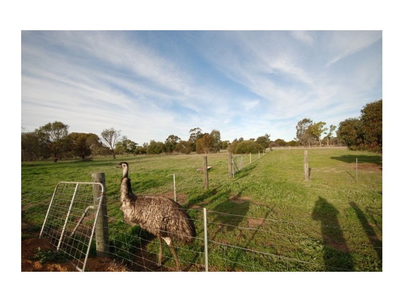 25 Hotham Street, Popanyinning WA 6309