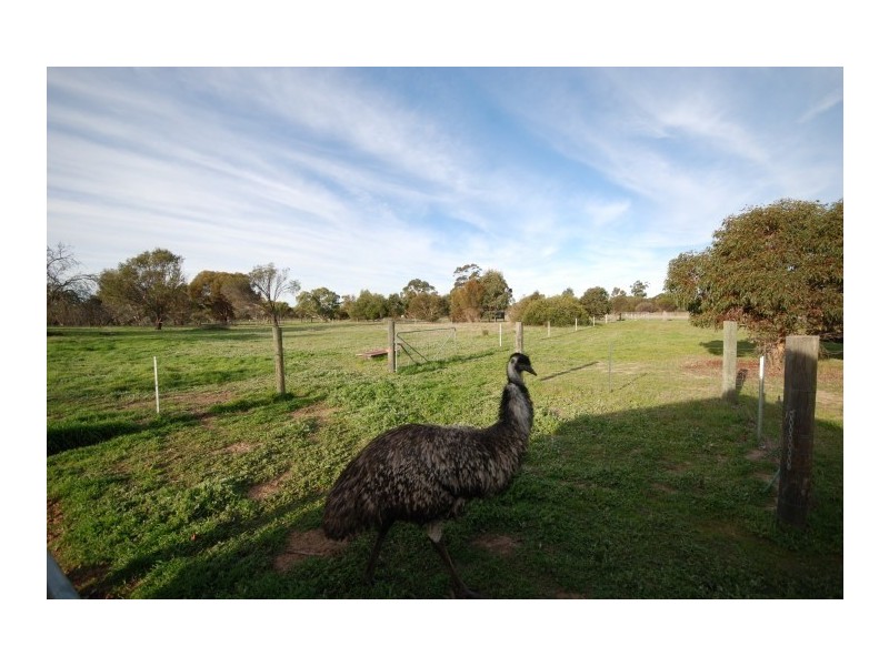 25 Hotham Street, Popanyinning WA 6309