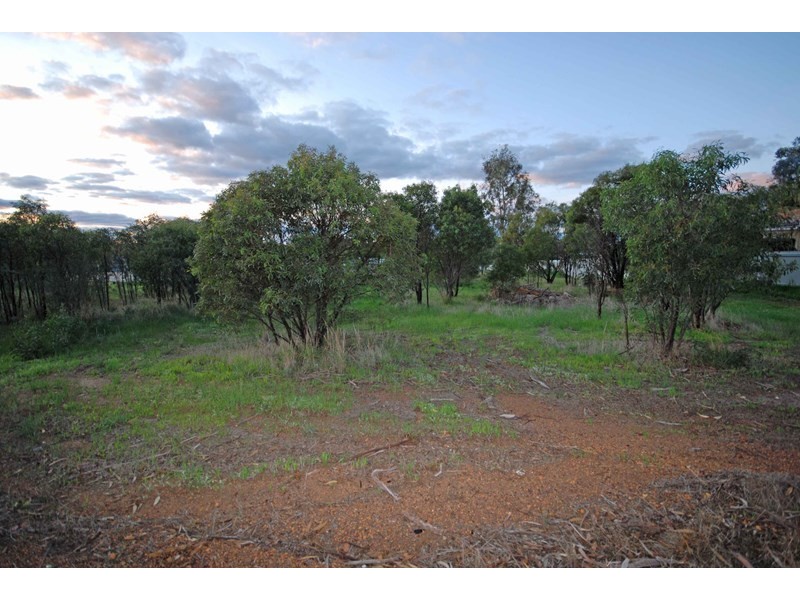 31 Fox Street, Narrogin WA 6312