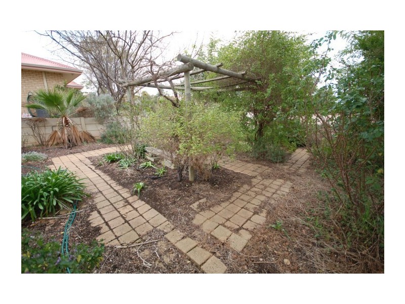 45B Argus Street, Narrogin WA 6312