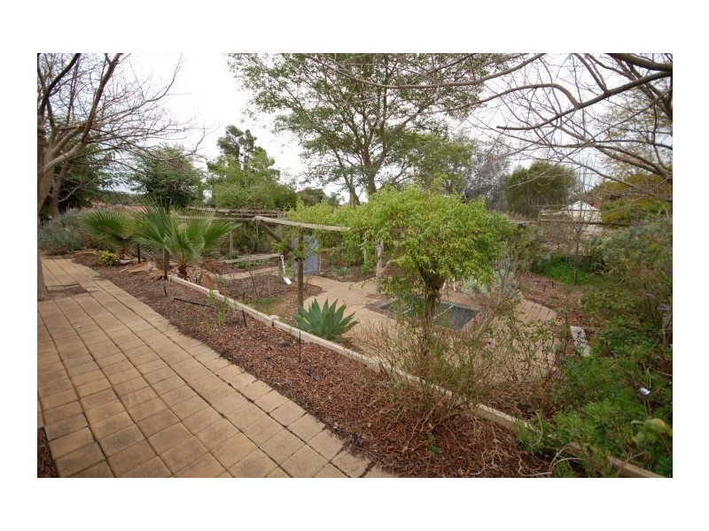 45B Argus Street, Narrogin WA 6312