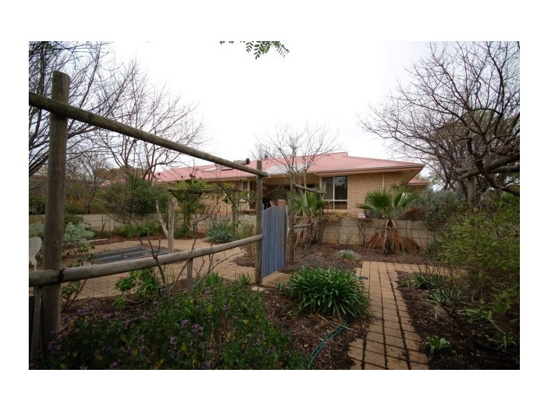 45B Argus Street, Narrogin WA 6312