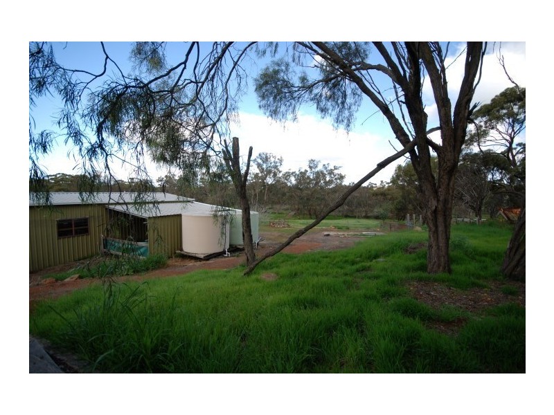 54 Palmer Street, Narrogin WA 6312