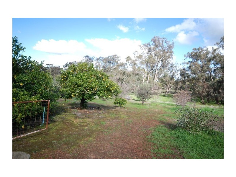 54 Palmer Street, Narrogin WA 6312