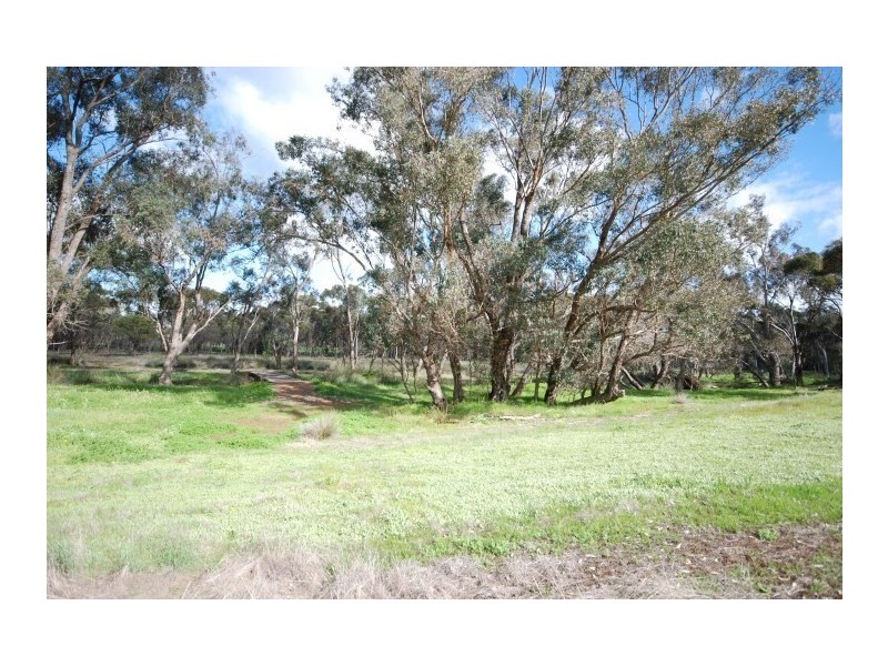 54 Palmer Street, Narrogin WA 6312