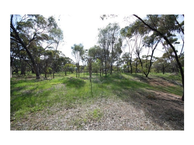 58-60 Pitt Street, Pingelly WA 6308