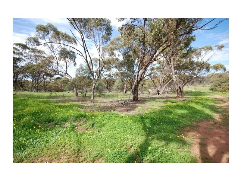 58-60 Pitt Street, Pingelly WA 6308