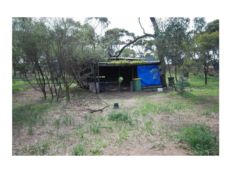 58-60 Pitt Street, Pingelly WA 6308