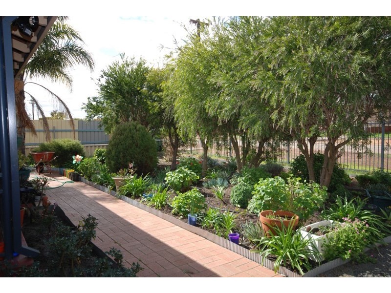 3 Hillman Street, Narrogin WA 6312