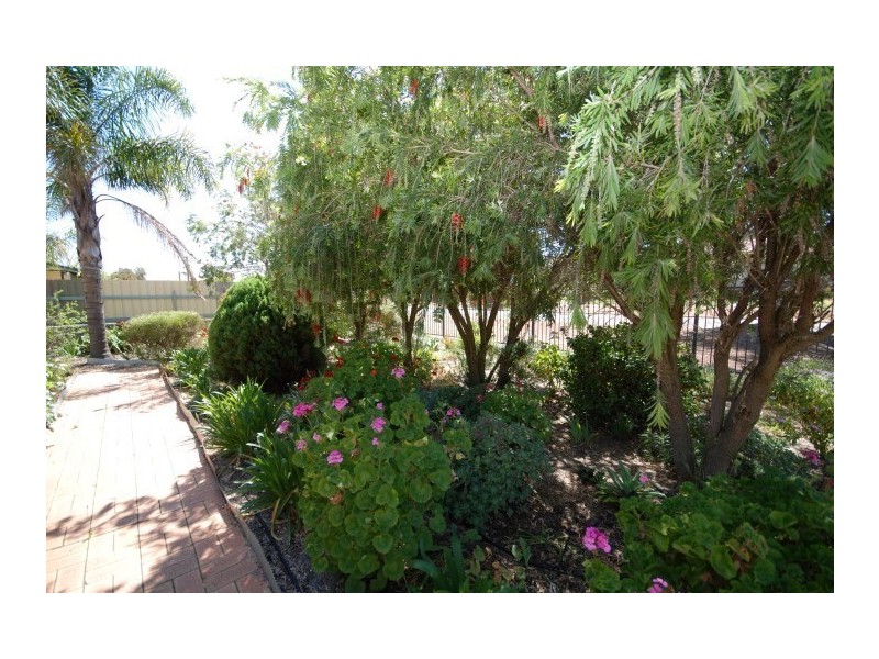 3 Hillman Street, Narrogin WA 6312