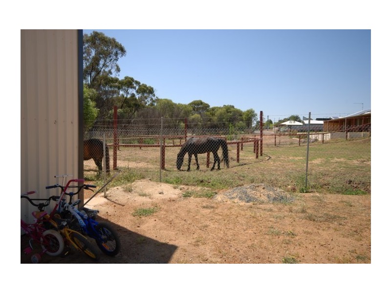 21 Fox Street, Narrogin WA 6312