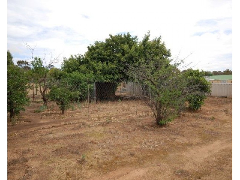 42 Park Street, Pingelly WA 6308