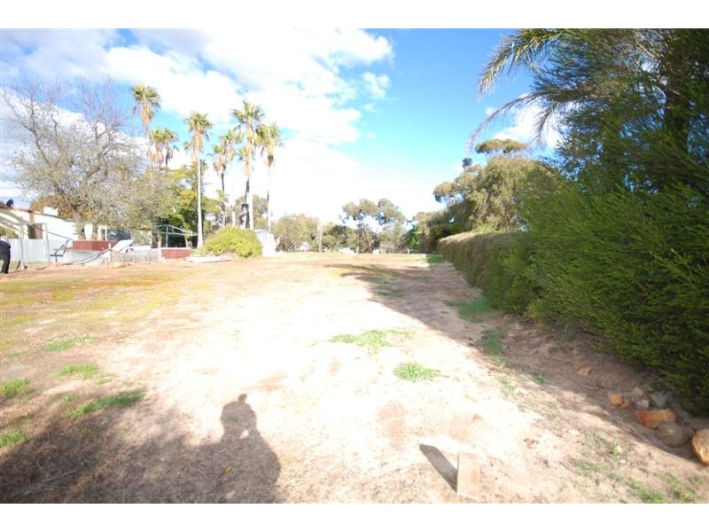 38 and 40 Argus Street, Narrogin WA 6312