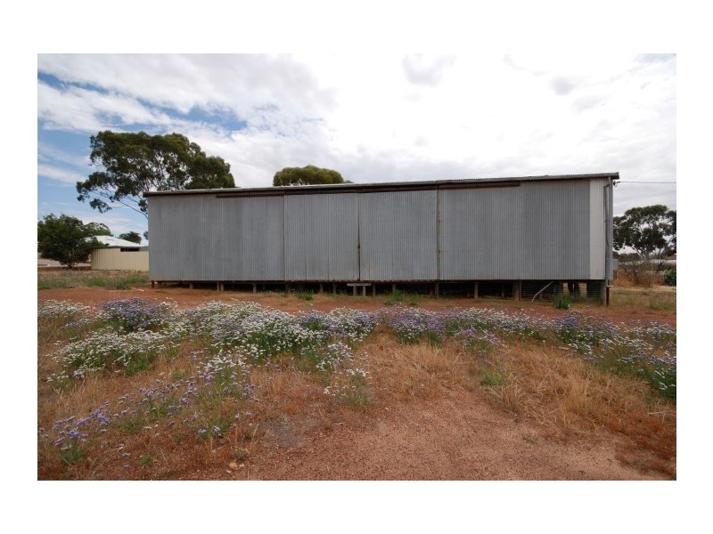 35 Queen Street, Pingelly WA 6308