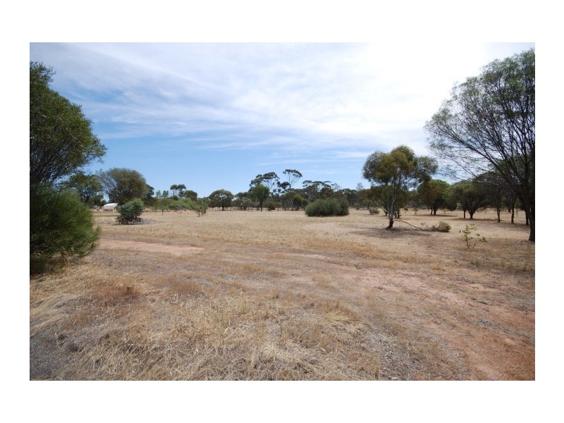 26 CARRIER, Popanyinning WA 6309