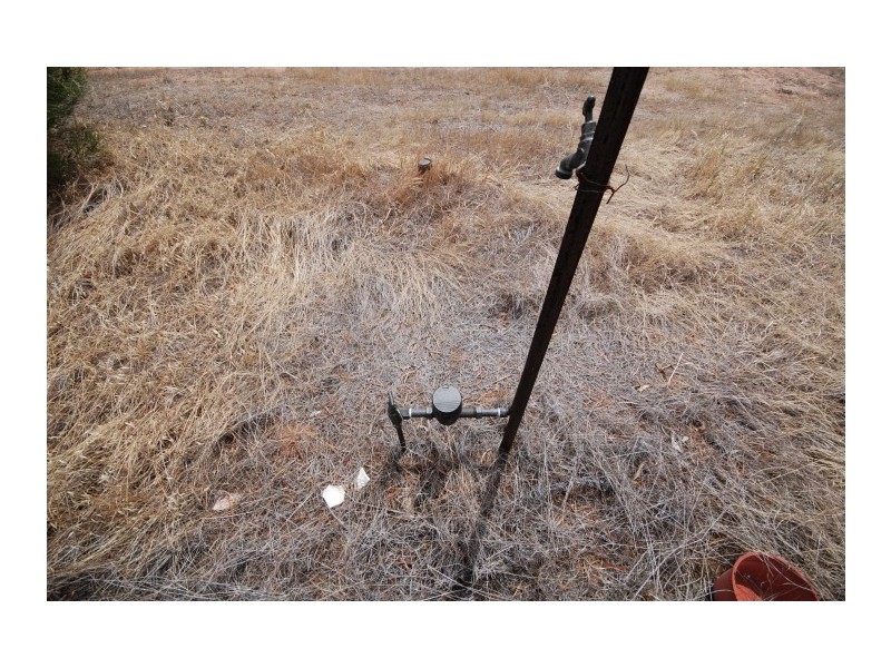 26 CARRIER, Popanyinning WA 6309