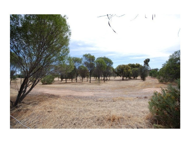 26 CARRIER, Popanyinning WA 6309