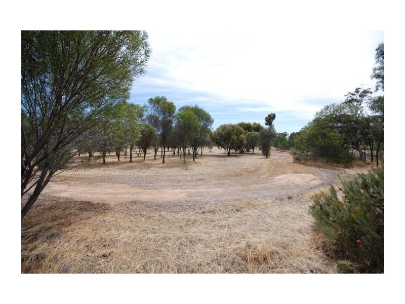 26 CARRIER, Popanyinning WA 6309