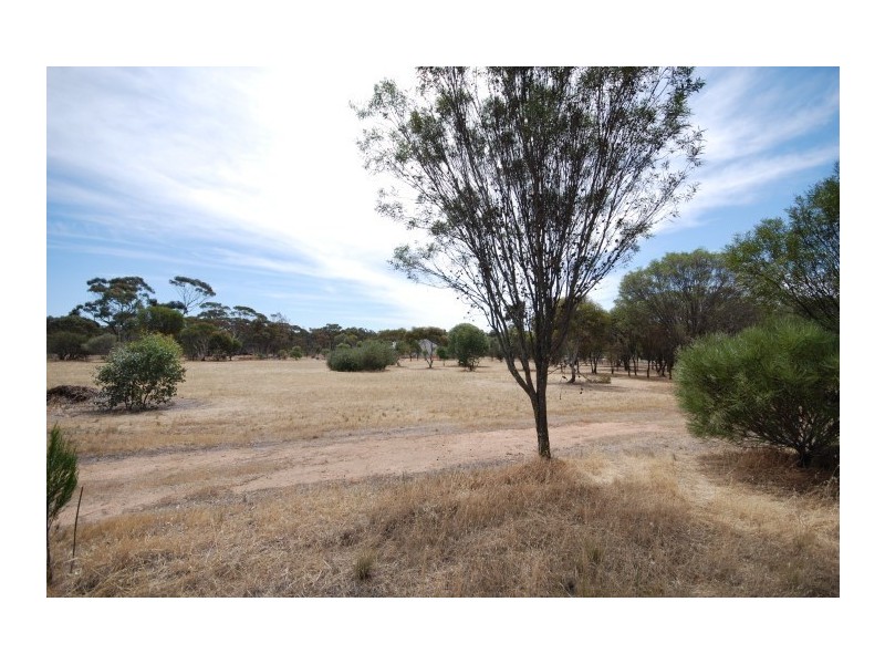 26 CARRIER, Popanyinning WA 6309