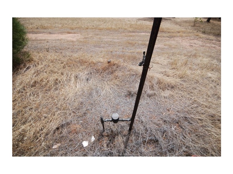 26 CARRIER, Popanyinning WA 6309