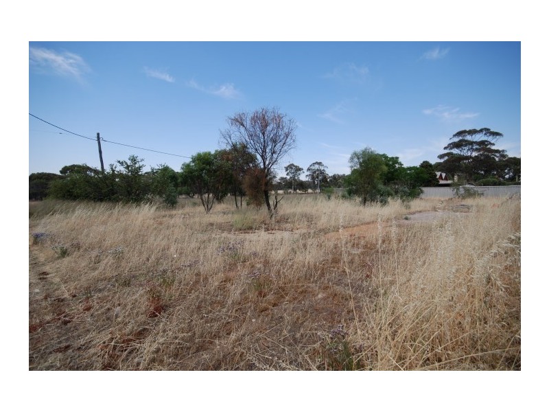 29 Quadrant Street, Pingelly WA 6308